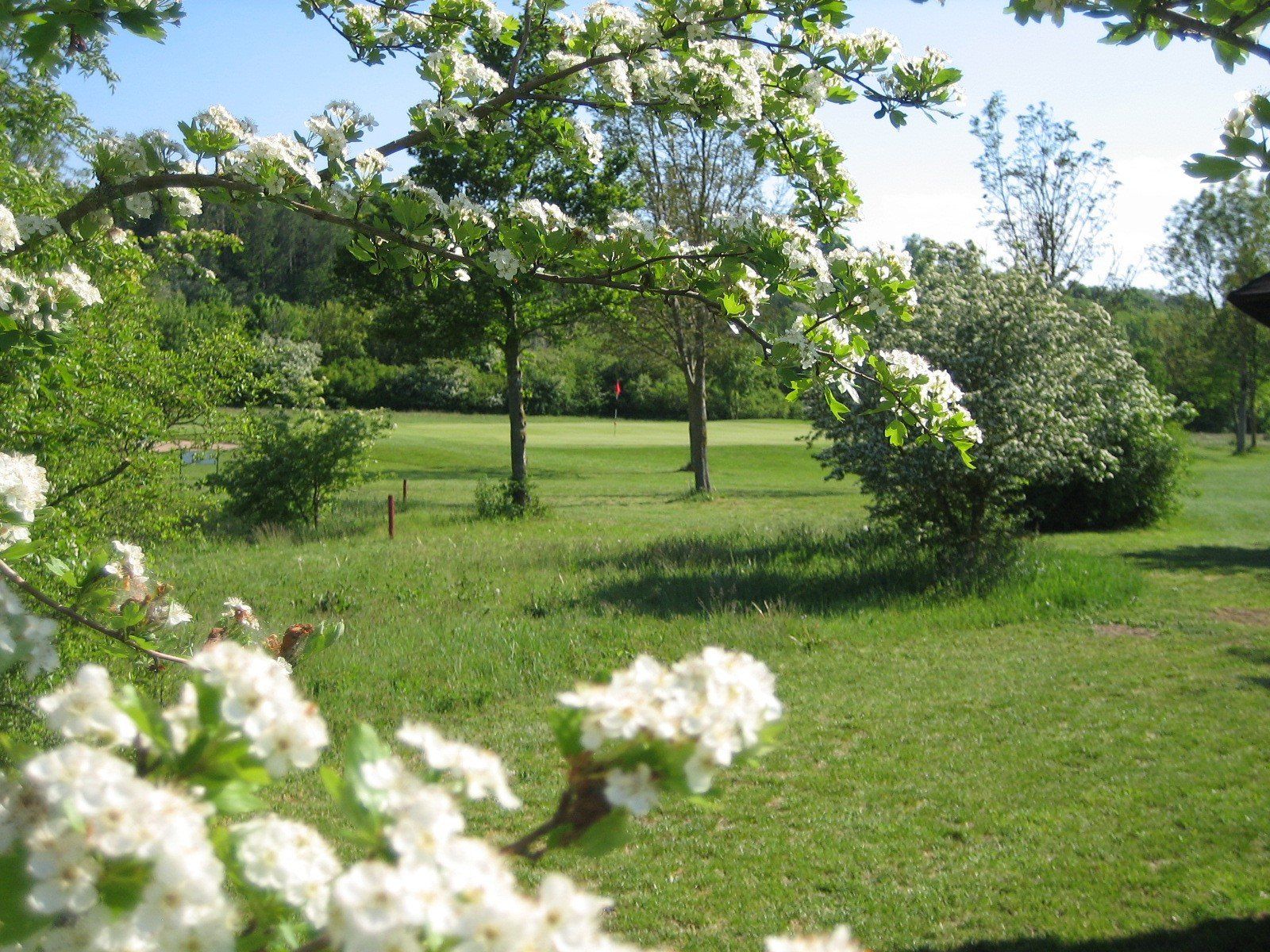 Naturnahe Pflege und Strukturelemente