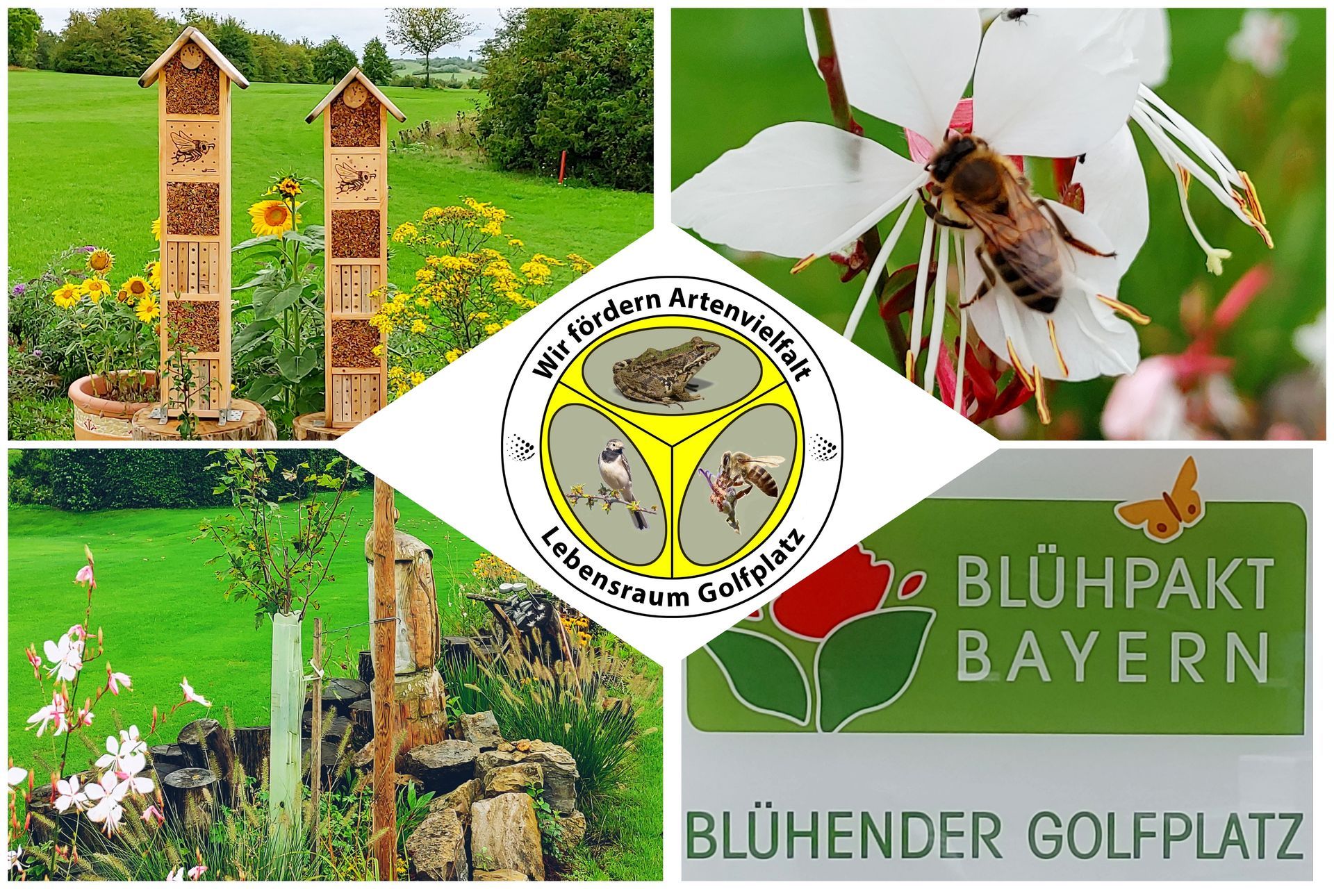 Wir fördern Artenvielfalt – Lebensraum Golfplatz