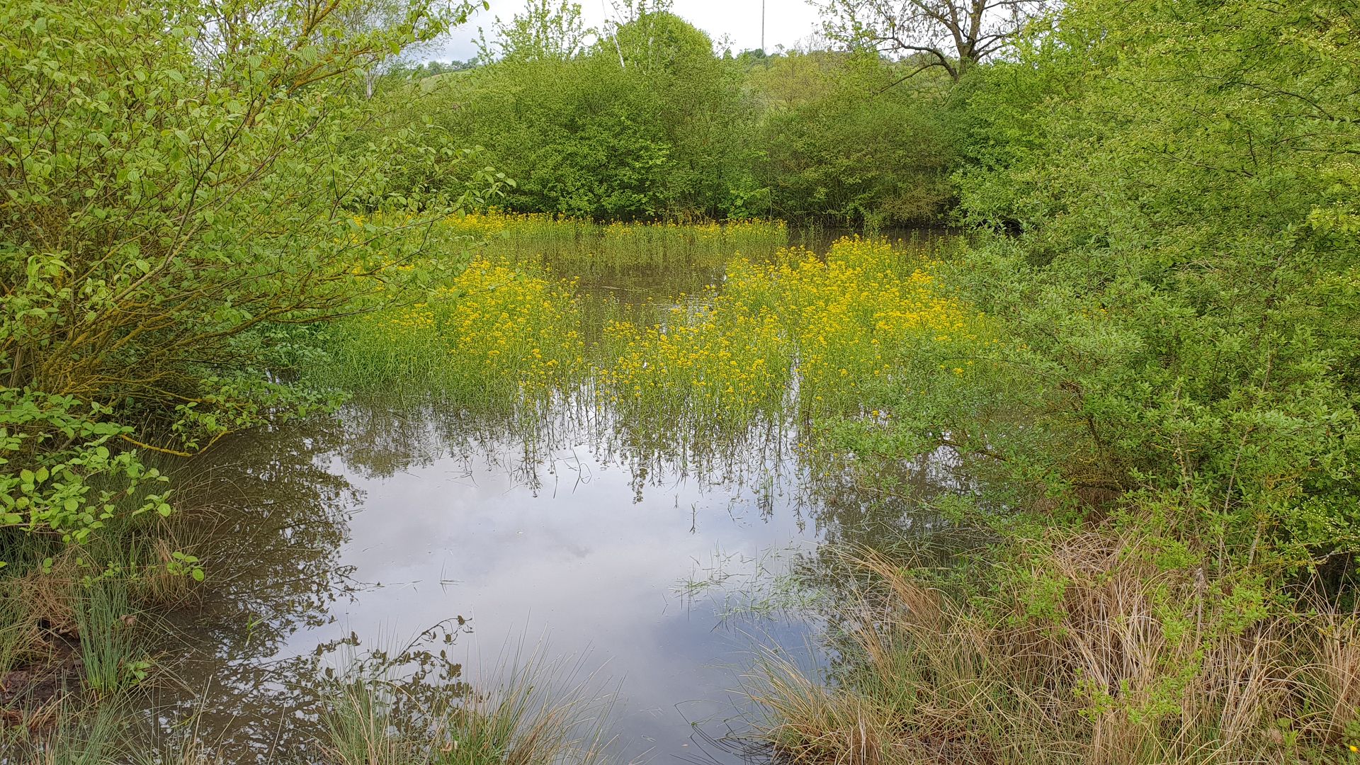 Adonishügel Erkenbrechtshofen